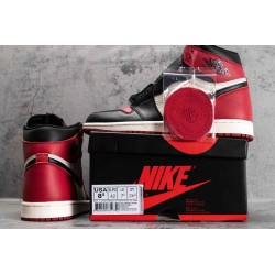 AJ 1 Retro High Bred Toe