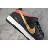 Dunk SB Low Walk of Fame