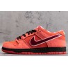 Dunk SB Low Red Lobster