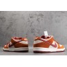 SB Dunk Low Pro Dark Russet Cedar