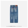 Evisu 20ss Gradient Seagull Printing Jeans