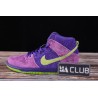 NIKE SB DUNK HIGH \"PURPLE SKUNK\"