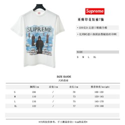 Supreme 20SS Tupac Hologram Tee