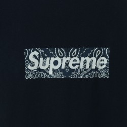 Supreme 19FW Bandana Box Logo Tee?