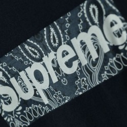 Supreme 19FW Bandana Box Logo Tee?