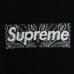 Supreme 19FW Bandana Box Logo Tee?