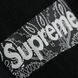 Supreme 19FW Bandana Box Logo Tee?