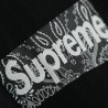 Supreme 19FW Bandana Box Logo Tee?