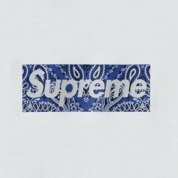 Supreme 19FW Bandana Box Logo Tee