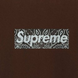 Supreme 19FW Bandana Box Logo Tee