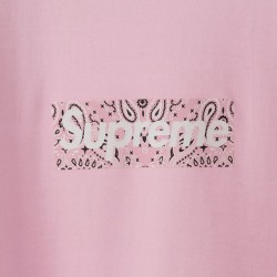 Supreme 19FW Bandana Box Logo Tee?