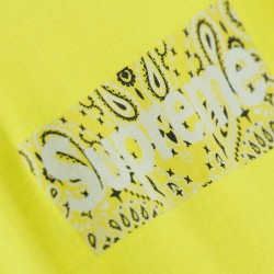 Supreme 19FW Bandana Box Logo Tee?