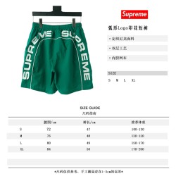 Supreme 18ss Arc Logo Water Short?