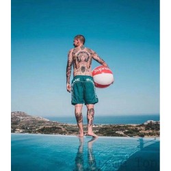 Supreme 18ss Arc Logo Water Short?