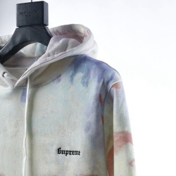 Supreme Landscap 18 ss Hoodie