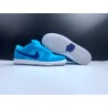 Nike DunkSB Low  Blue Fury (BQ6817-400)