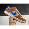 Nike SB Dunk Low Pro SB(BQ6817-201)