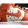 SB Dunk SUP 307385-181