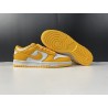 NIKE DUNK LOW DD1503-800